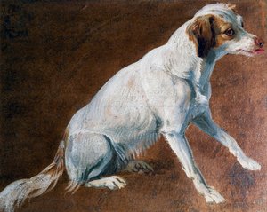 French Spaniel ancestor, by Alexandre-Francois Desportes by Alexandre Francois Desportes