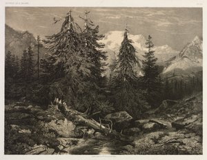 Alpine Stream