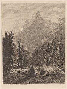Mountain Meadow