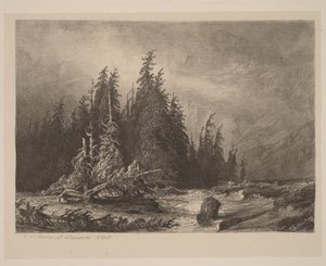 Mountain Pines by Alexandre Calame