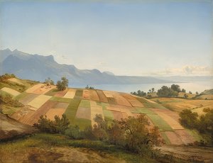 Swiss Landscape
