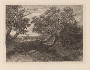 Stream with Overhanging Trees