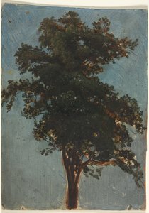 Tree Study by Alexandre Calame