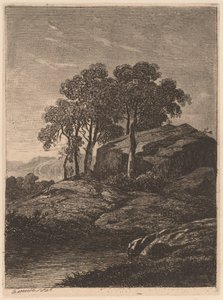 Trees by a Rock