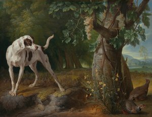 Dog Pointing Partridges in a Landscape