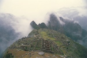 View of the site