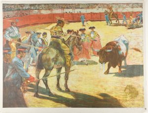 Bull-Fight