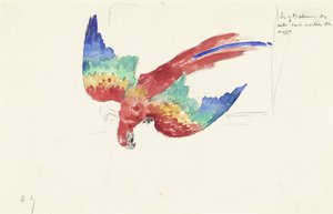 Parrot Looking Down