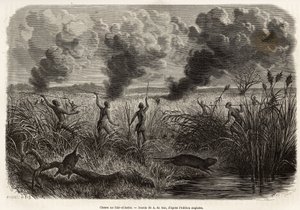 The bongo tribe hunt the rat from the reeds (for naturalists: aulacode), sitot spot the place where the rodents live, fire is set to dry grass around their cottage, until the beets, forced to flee, come to present themselves to the hunters, engraving after by Alexandre de (after) Bar