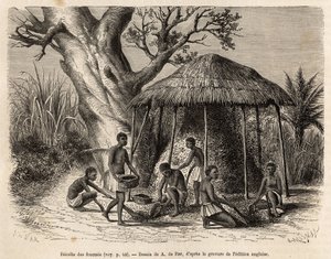 The Collection of the Ants