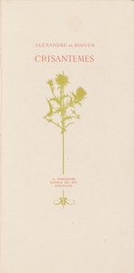 Chrysanthemums