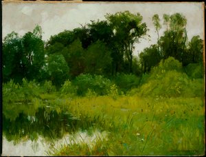 After Rain, on Minnehaha Creek by Alexis Jean Fournier
