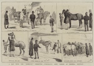 A Day with the Remount Committee, purchasing Army Horses at Redhill, Edgware