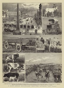 A South African Agricultural Show, Port Elizabeth, Cape Colony