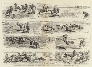 Capturing Wild Horses on the Laramie Plains, North Western America