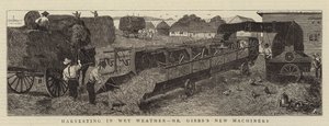 Harvesting in Wet Weather, Mr Gibbs