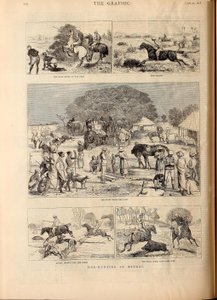 Hog-Hunting in Bengal