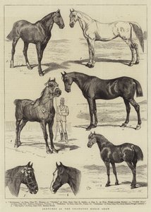 Sketches at the Islington Horse Show by Alfred Chantrey Corbould
