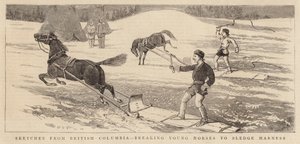 Sketches from British Columbia, breaking Young Horses to Sledge Harness by Alfred Chantrey Corbould