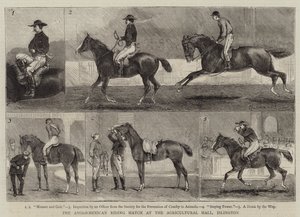 The Anglo-Mexican Riding Match at the Agricultural Hall, Islington by Alfred Chantrey Corbould