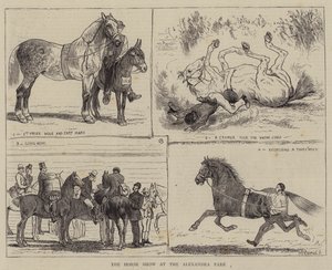 The Horse Show at the Alexandra Park by Alfred Chantrey Corbould