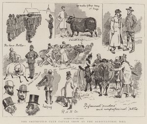 The Smithfield Club Cattle Show at the Agricultural Hall