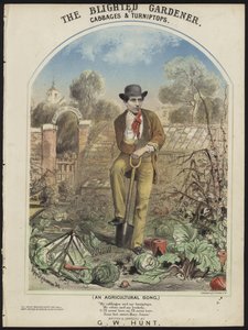 The Blighted Gardener by Alfred Concanen