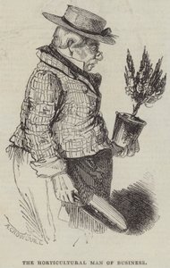 The Horticultural Man of Business by Alfred Crowquill