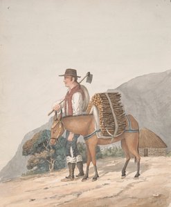 Firewood Seller, Tenerife by Alfred Diston