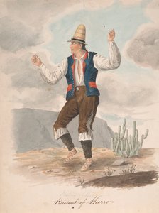 Peasant of Hierro by Alfred Diston