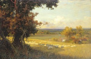The Golden Valley