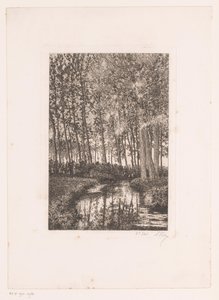 Tall Trees by the Water by Alfred Elsen (signed by artist)
