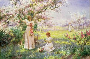 Spring: Picking Flowers