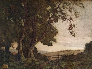 The Drooping Ash