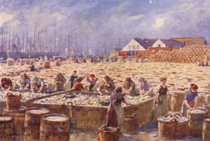 Yarmouth, Norfolk, The Herring Harvest
