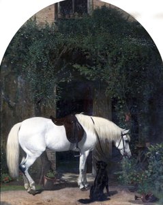 White Horse and Retriever by Alfred Hichens Corbould
