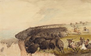 Driving Herds of Buffalo over a Precipice, c.1837 by Alfred Jacob Miller