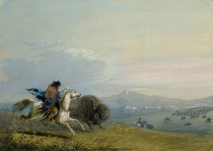 Pawnee Running Buffalo by Alfred Jacob Miller