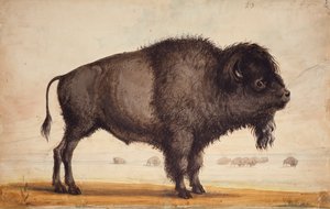 Scenting the Breeze, c.1837