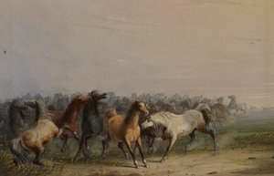 Wild Horses by Alfred Jacob Miller