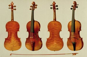 Violins: the 
