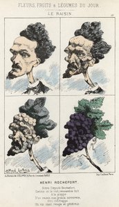 Le Raisin: Cartoon on Henri Rochefort - Illustration from 09/02/1871 in 