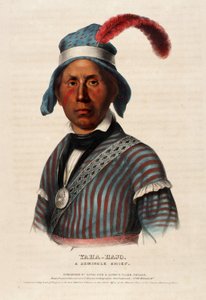 Yaha-hajo, A Seminole Chief
