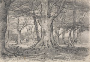 A Forest Landscape near Boldrewood