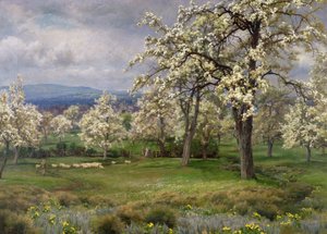 The Pear Orchard