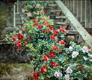 Tree peonies at Hase Dera - steps to Kwannon Temple, Japan