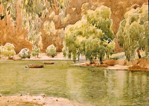 Naini Tal by Alfred Priest