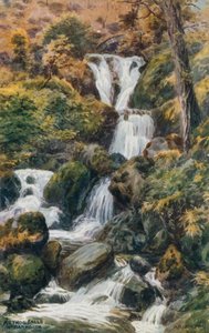 Arthog Falls, Near Barmouth by Alfred Robert Quinton