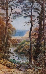Branksome Chine, Bournemouth by Alfred Robert Quinton