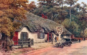 Cat and Fiddle Inn, New Forest